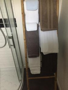 Appartements L'Oasis Appartement Cosy avec Climatisation, Parking, Velos , Animaux Bienvenus : photos des chambres
