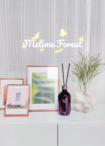 Metime Forest