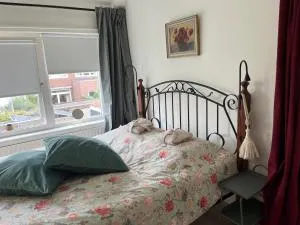 BeBaBops Homestay Utrecht - IJsselstein