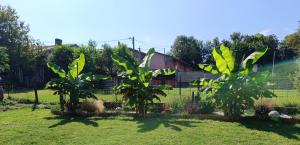 Maisons de vacances Charmante petite maison a la campagne : photos des chambres