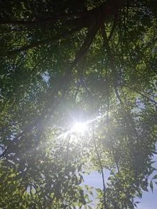 Aldea de la hoja - Ranchos