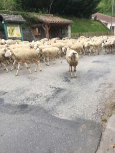 Grande maison familiale 4 chambres