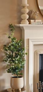 Balmore Farmhouse near Lochness