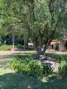 El Charquito Chascomus