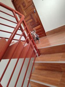 Departamento en Ciudad Satélite, cerca del Aeropuerto