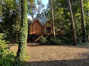 New Unique Treehouses with hot tub in Oisterwijk