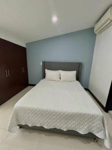 Private Jacuzzi 3 Bedroom apartment in Provenza cartagena