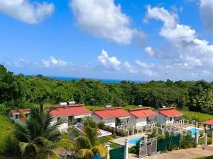 Les papillons Doré - Coco - Desbonnes