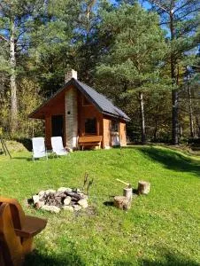 Survivalowa chata w lesie - Mokre