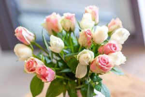 Villa Düne 17 - Traumblick