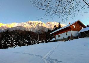 Cottage Piatra Craiului