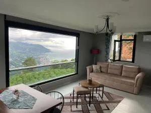 Müthiş manzaralı korudağevi - Cayeli