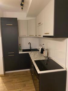 Green Lux Apartment
