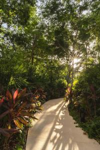 Stunning 2 bd Mistiq PH rooftop private pool