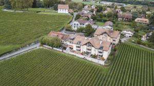 Amanthos Living Nyon