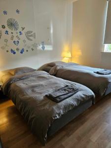 House in the Westfjords