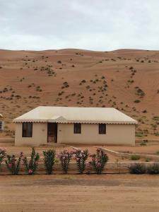 Desert Rose Camp