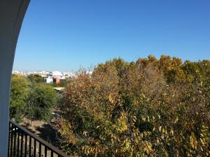 Alameda Gran Vista