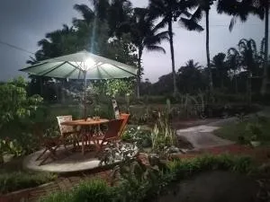 Padi Bungalow - Kotaraja