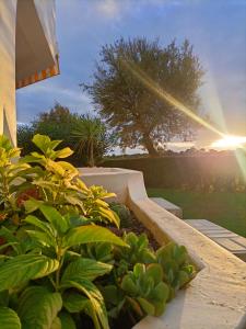 Albufeira - Casa Balaia Resort