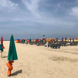 Appartements Les Planches de Celine, beau T2 a Deauville : photos des chambres