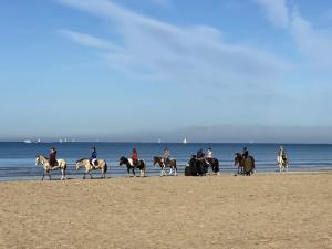 Appartements Les Planches de Celine, beau T2 a Deauville : photos des chambres