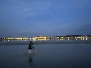 Appartements Les Planches de Celine, beau T2 a Deauville : photos des chambres