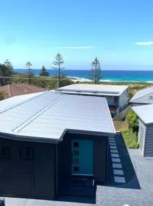 The Sea Urchin - Potato Point