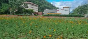 Juwang Mt Oncheon Tourist Hotel - Danyang