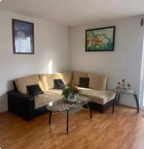 Casa amplia en fraccionamiento tranquilo - Zapotlán de Juárez