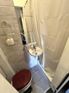 Cozy Downtown Apartment