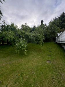 Sokkelleilighet på Sola