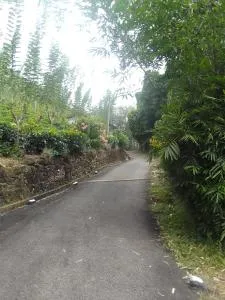 Bisso Village Estate Resort, Eheliyagoda - 阿维瑟韦勒