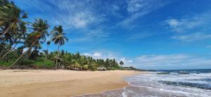 Patini Bungalows - Beach Garden
