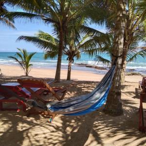 Patini Bungalows - Beach Garden