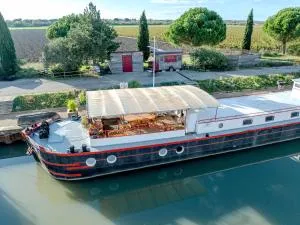 PENICHE FARNIENTE CLIMATISEE région touristique aux portes de la Camargue - 贝勒加德