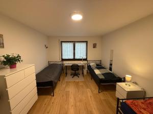 Big, cosy and central apartment