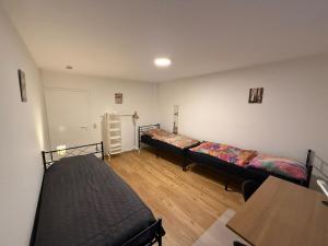 Big, cosy and central apartment