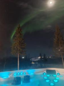 Luxury villa Levin Höperö