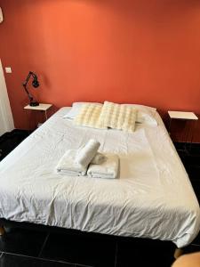 Grand Studio Centre Cannes