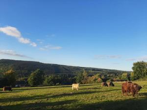 Nature Circuit Francorchamps