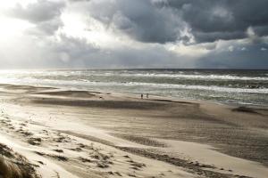 Charmerende skovhytte