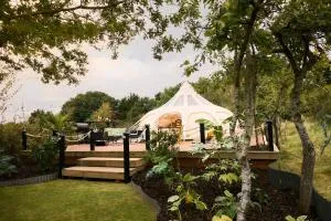 Orchard Blossom - Fladbury