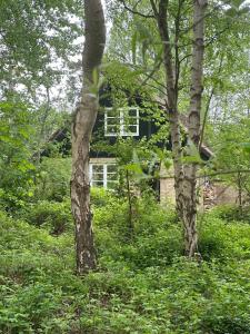Cozy, Thatched Cottage With Modern Décor