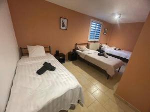 Résidence iguanodon Maria