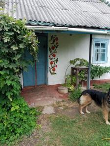 Дибинецькі Карпати