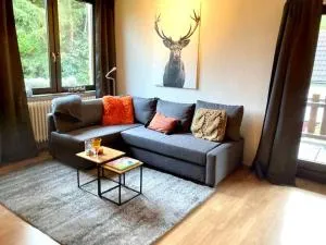 Urlaub in der Eifel direkt am Rursee - Seewinkel - 埃恩鲁赫