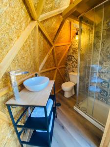 Eco-Resort Domo Maestra