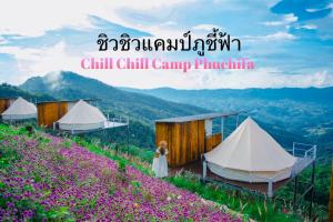 ชิวชิวแคมป์ ภูชี้ฟ้า