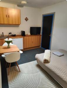 1-værelseslejlighed i centrum